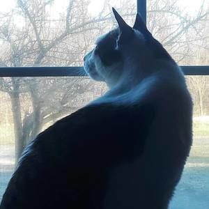 Meet your Posher, Bethany